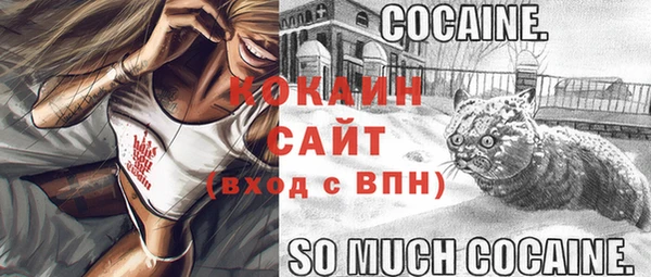 ешки Вяземский