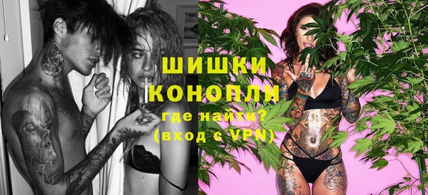 молекула духа Горно-Алтайск